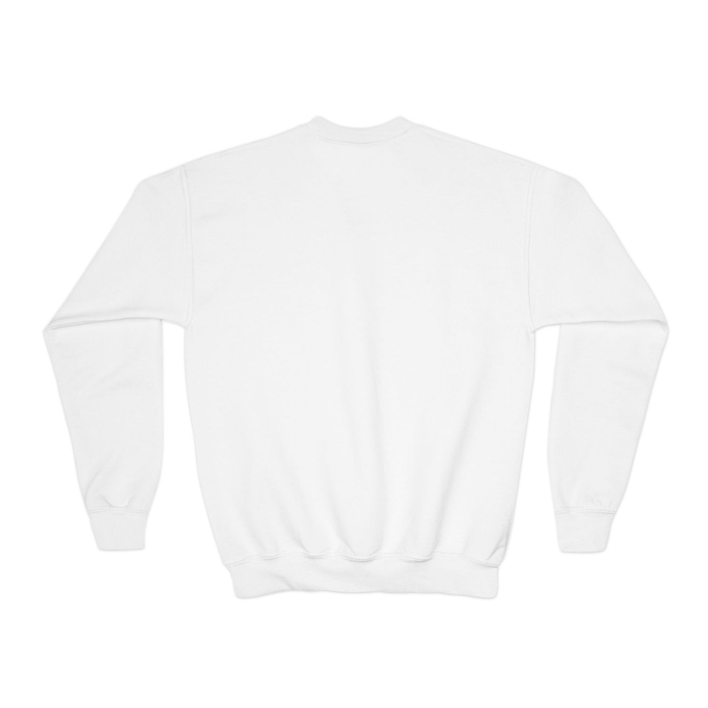 Youth Sweatshirt — Colorful Rainbow Horse Graphic Crewneck